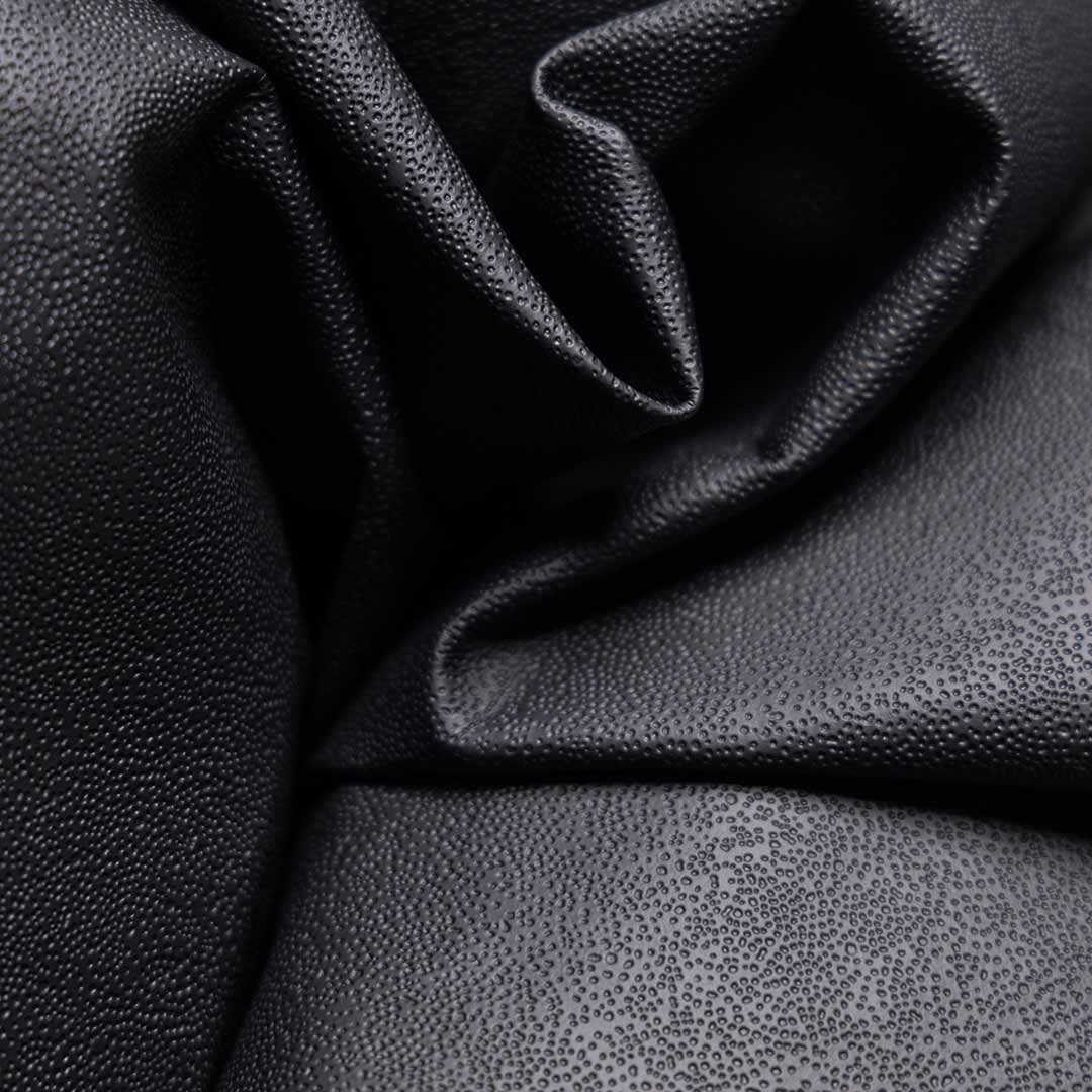 Reishi™ Mycelial Black