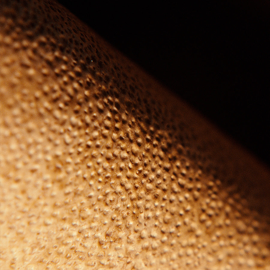 Reishi™ Mycelial Aura