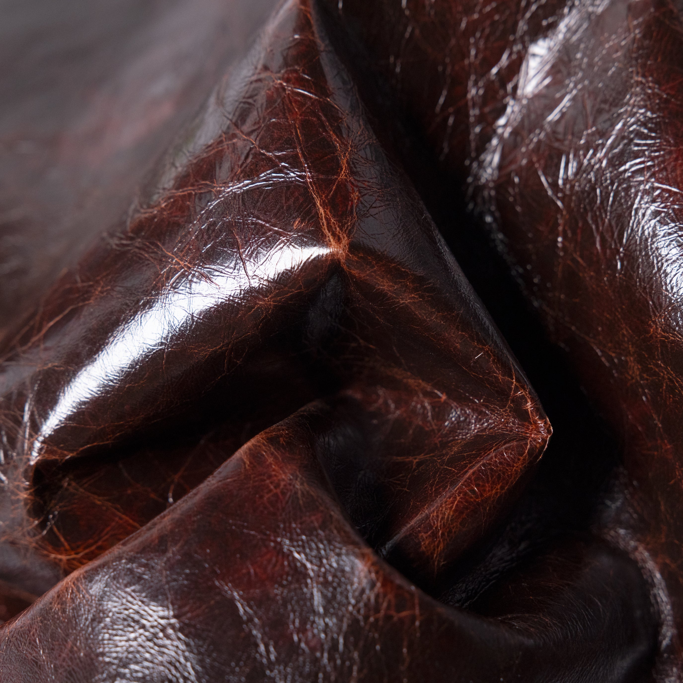 Reishi™ Club Brown Glossy