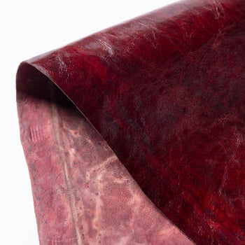 Reishi™ Club Burgundy Glossy