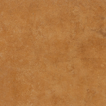 Reishi™ Swatches Kit (All Swatches)