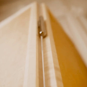 Mycelium Paravent Folding Screen